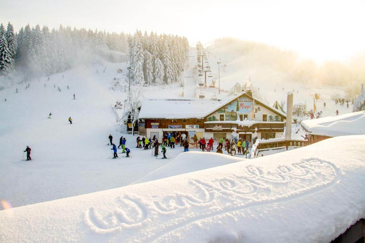 The Suite Winterberg Deluxe - Exklusive Ausstattung, Bestlage Zwischen Skikarussell Und Marktplatz, Eigener Garten, Ski- Und Fahrradraum, Ruhige Suedausrichtung, Wlan, Hundefreundlich Exterior foto