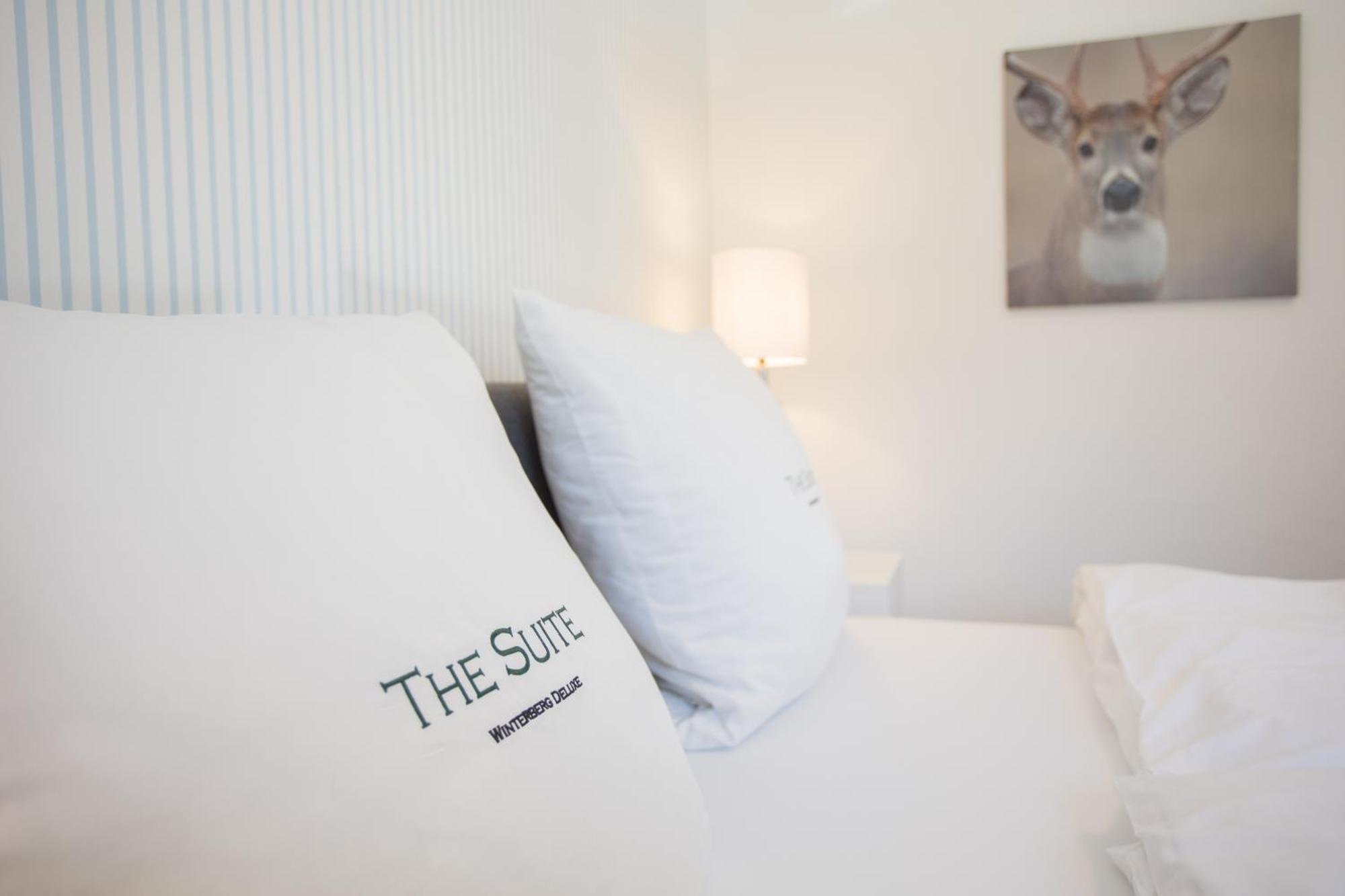 The Suite Winterberg Deluxe - Exklusive Ausstattung, Bestlage Zwischen Skikarussell Und Marktplatz, Eigener Garten, Ski- Und Fahrradraum, Ruhige Suedausrichtung, Wlan, Hundefreundlich Exterior foto